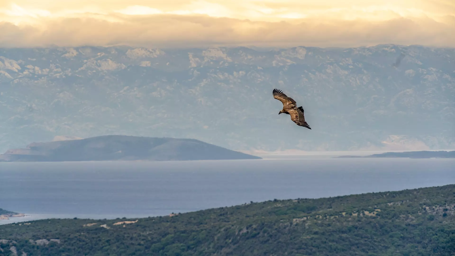 5-Zadnje-utociste-velicanstvenih-Kamp-Kovacine-Cres